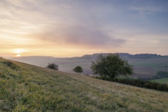 Hills and trees at sunset, soft colours and a wide, peaceful landscape, Bisberg, Watterdingen,
