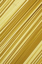 Close-up of spaghetti pasta on white