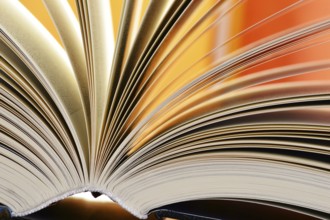 Composition with hardcover books in the library