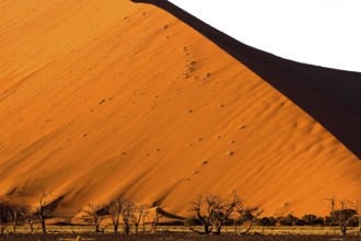 Sossulsvlei Dunes in Namib Desert, Namib Naukluft Park in Namibia