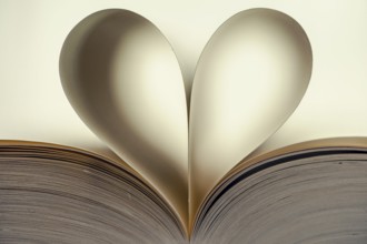 Heart-shaped curved pages of an open book