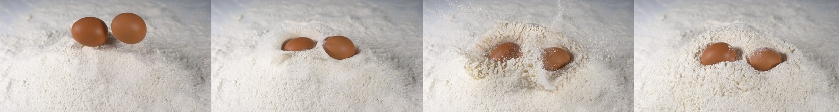 Egg Falling into Flour against White Background