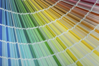 Multi-coloured Pantone fan top view