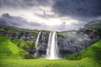 The beautiful Seljalandsfoss waterfall in Iceland surrounded by lava cliffs and green fields in a