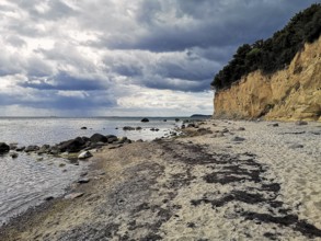 Baltic Sea coast near Lobbe, Mönchgut, island of Rügen