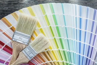 Color sampler paintbrushes on wooden board