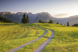 A winding path meanders across a green meadow towards the mountains at sunrise, Fähnerenspitz,