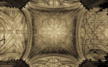 Plenty of interesting details in this Seville Spain Cathedral Interior - 400 years old