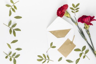 Red carnation flowers with envelope paper. Resolution and high quality beautiful photo