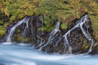 Waterfall Hraunfossar, river Hvita, Iceland, Europe