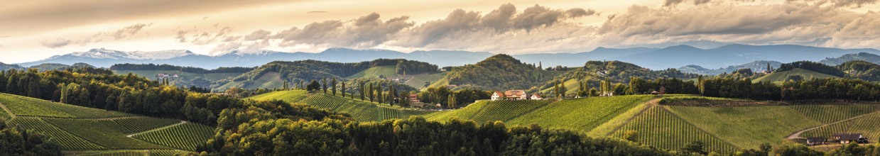 Vineyards panorama in South Styria, beginning of autumn. Austria Tuscany like spot