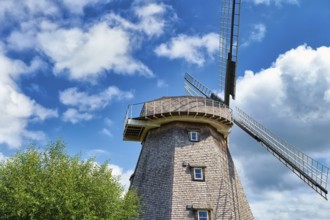 Windmill, Ahrenshoop, Fischland-Darß
