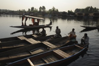 Dal lake, Srinagar, jammu Kashmir, india, asia