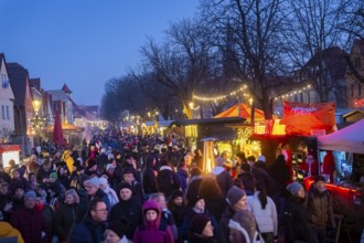 Christmas market on the village green Altkötzschenbroda Radebeul, Saxony, Germany, Europe