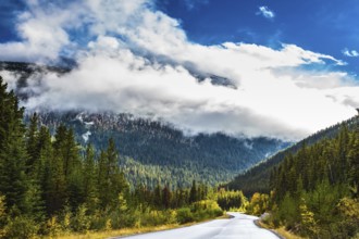 Canadian Rockies. Beautiful September day. Great Highway is among the mountains and forests