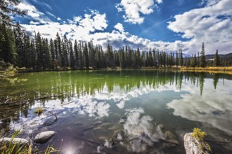 The shallow round lake is surrounded with the turned yellow bush and evergreen fir-trees
