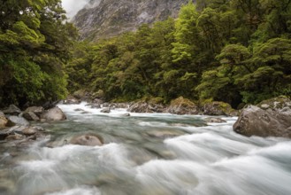 Mountainous Monkey creek flowing through impressive landscape next to Milford Sound highway, South