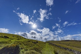 Hilly landscape with green meadows and stone wall, dry stone wall on the edge of Snowdonia National