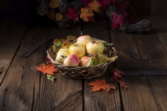 Fresh and delicious organic apples in a basket