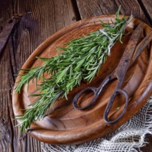 Rosmarin (Rosmarinus officinalis)