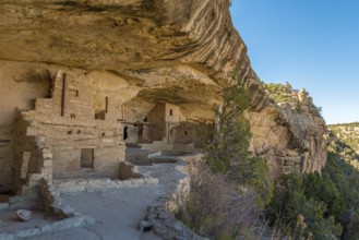 Historic Balcony House Pueblo dwelling in Mesa Verde National Park, USA, North America