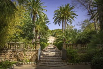 Mediterranean garden with palm trees and a stone staircase under a blue sky, Jardines de Alfabia,