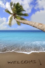 Brown beach sand with written word Welcome and tropical palm tree greeting
