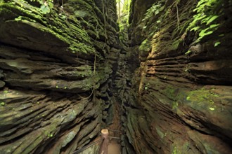 Kutumsar cave, bastar, chhattisgarh, india, asia