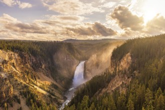 The best picture you will find of lower falls from artist point at sunset, Yellowstone NP, Wyoming
