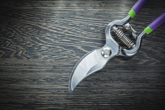 Sharp garden pruner on wooden board