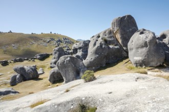 An image of a landscape scenery at Castle Hill New Zealand