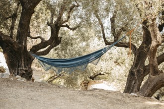 Hammock stretched between two trees