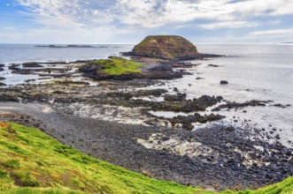 The Nobbies at low tide, Phillip Island, Victoria, Australia, Oceania