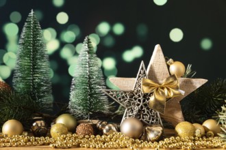 A Christmas decoration wooden star with fir trees
