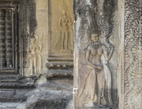 Frieze of female spirits (apsaras) in Agkor Wat, Siem Reap, Cambodia, Asia