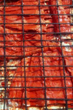 Grilled fish fillet red achiote sauce tikinchik Mayan Mexico recipe