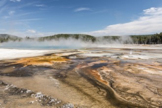 Famous Grand Prismatic Spring basin in Yellowstone National Park, USA, North America