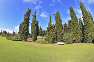 Gorgeous lawn in a park surrounded by cypress trees. To rest at the track is a handy white bench. ?