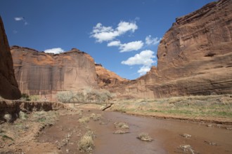Canyon de chelly national monument, Arizona, USA, North America