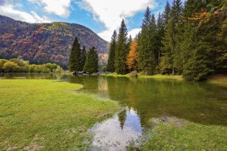 Yellow, orange and red leaves are illuminated by the sun. Picturesque shallow lake Fuzine of