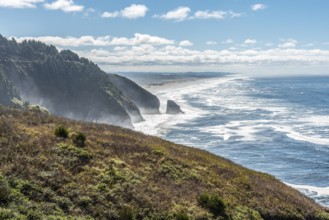 Untouched coastal landscape of Oregon, USA, North America