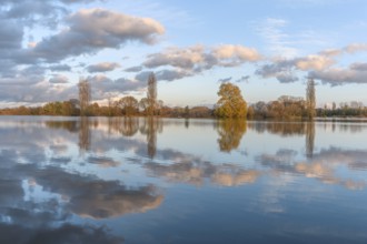 Flooded meadow after heavy rains. Autumn landscape. Bas-Rhin, Collectivite europeenne d'Alsace,