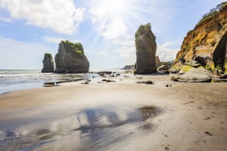 Low tide exposed the coastal strip of the ocean. Coastal cliffs. The Tongaporutu beach on the