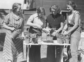 Gardening in the 1940s. Four women with plants and flowerpots. Sweden 1940s