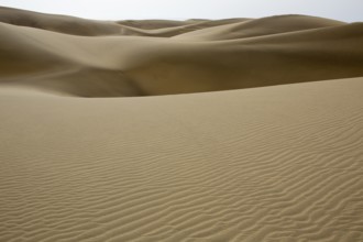 Desert dunes sand in Maspalomas Gran Canaria at Canary islands