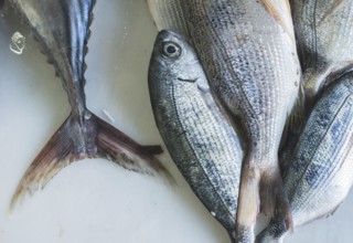 Fisch auf Eis auf dem Markt