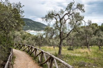 Hiking the famous Nature Trail from Mergoli to Vignanotica, Gargano Peninsula in Southern Italy