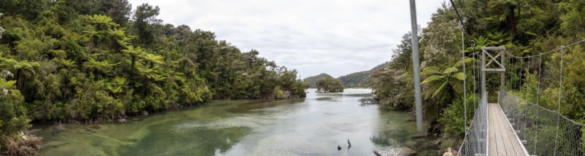 Panoramic view of suspension bridge over a river at Abel Tasman National Park, New Zealand, Oceania