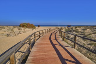 El Carabassi beach dunes in Elx Elche of Alicante in Spain at Costa Blanca also Carabasi