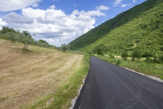 An image of a small road in rural Marche Italy